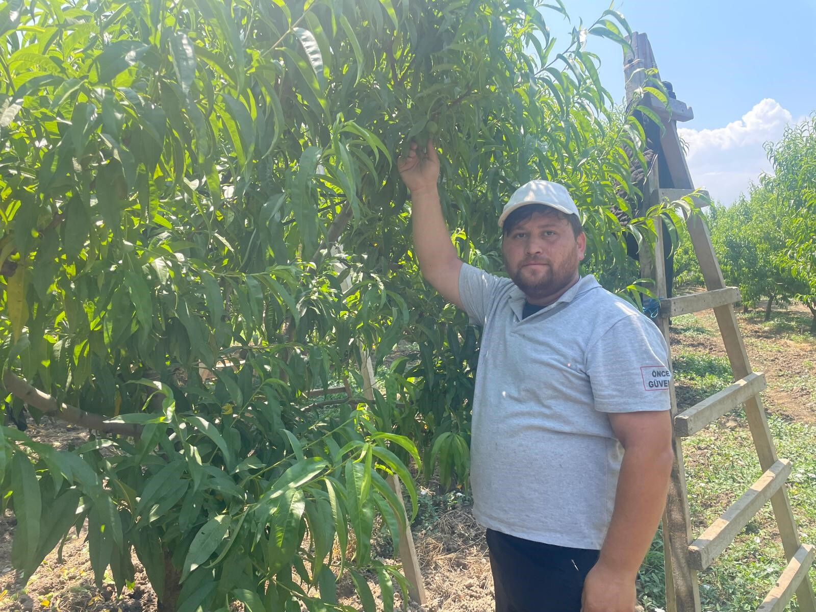 Günlük 1.200 lira yevmiye alıyorlar! Bahçelerde hasat öncesi kritik çalışma - 4. Resim