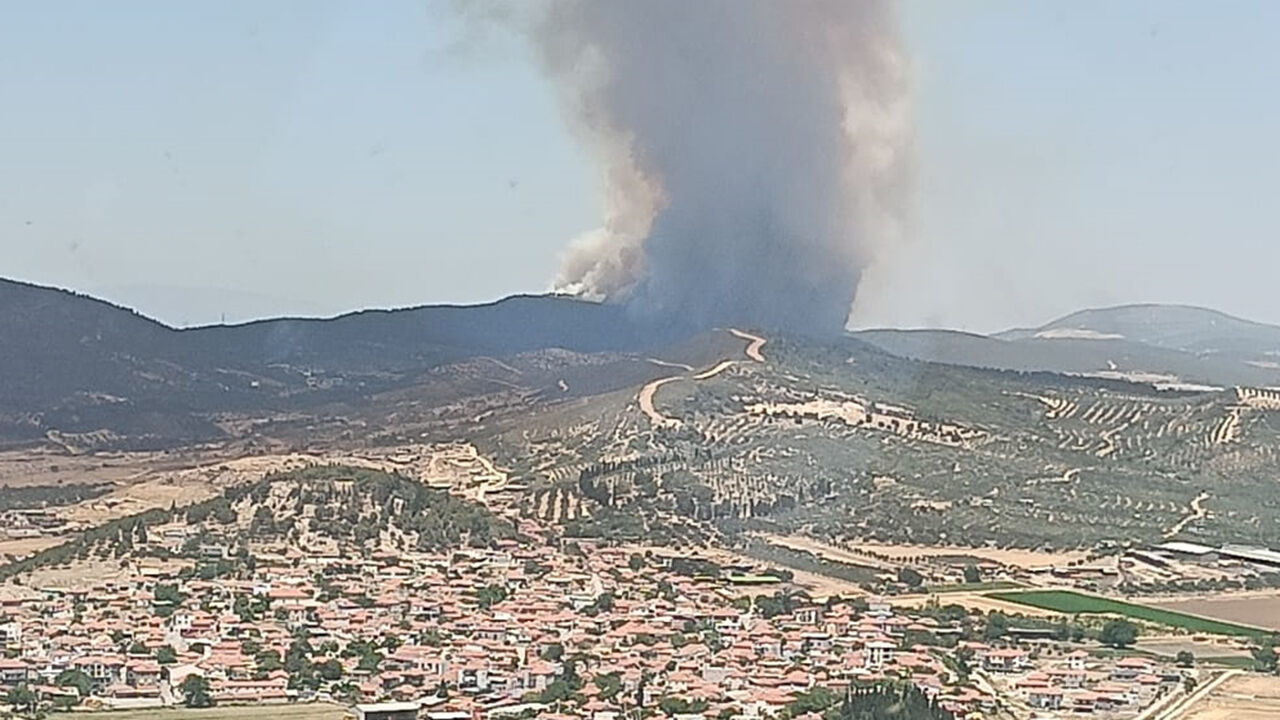 İzmir Foça'da orman yangını! Çok sayıda ekip müdahale ediyor - 1. Resim