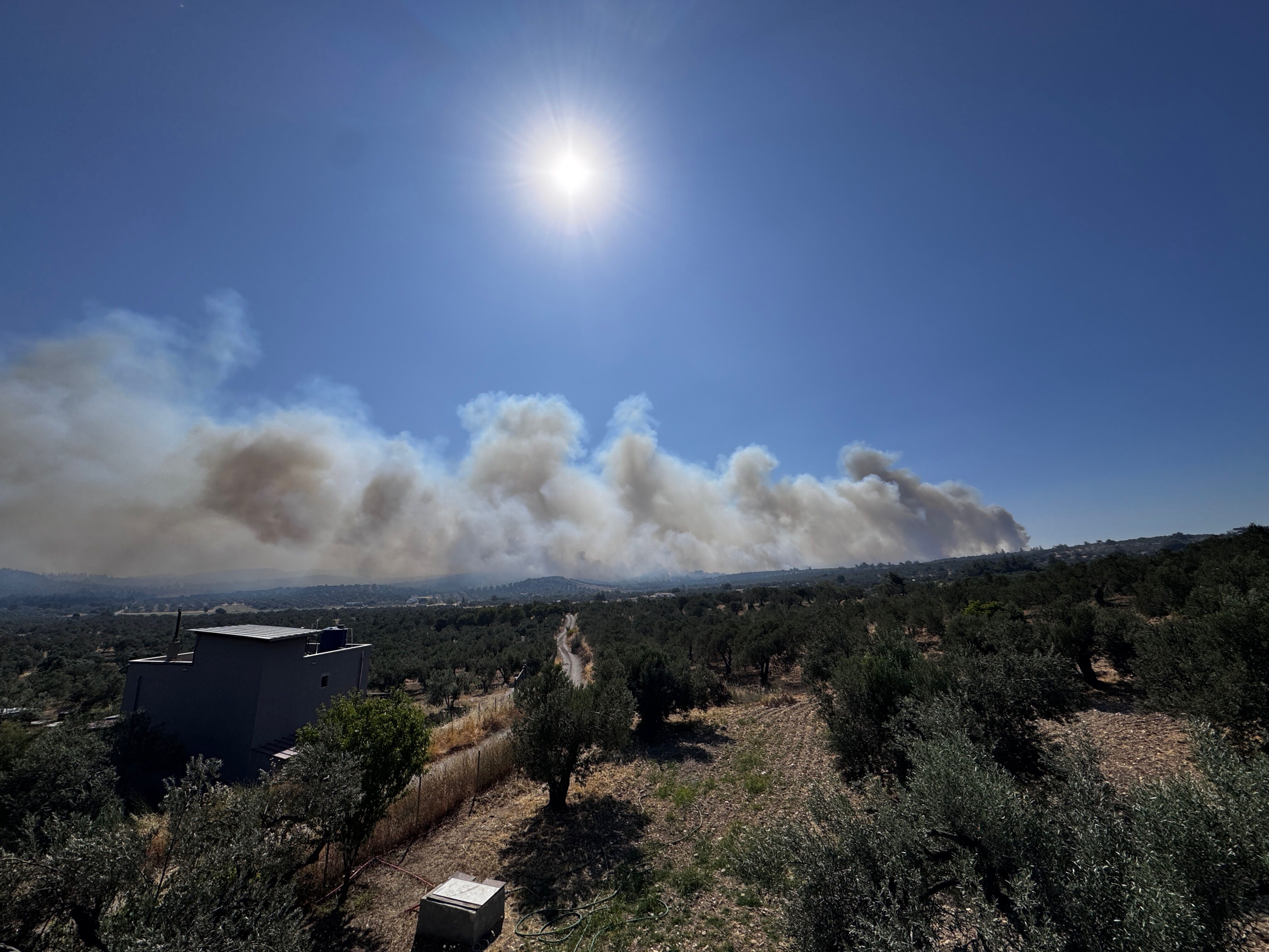 İzmir Foça'da orman yangını! Çok sayıda ekip müdahale ediyor - 1. Resim