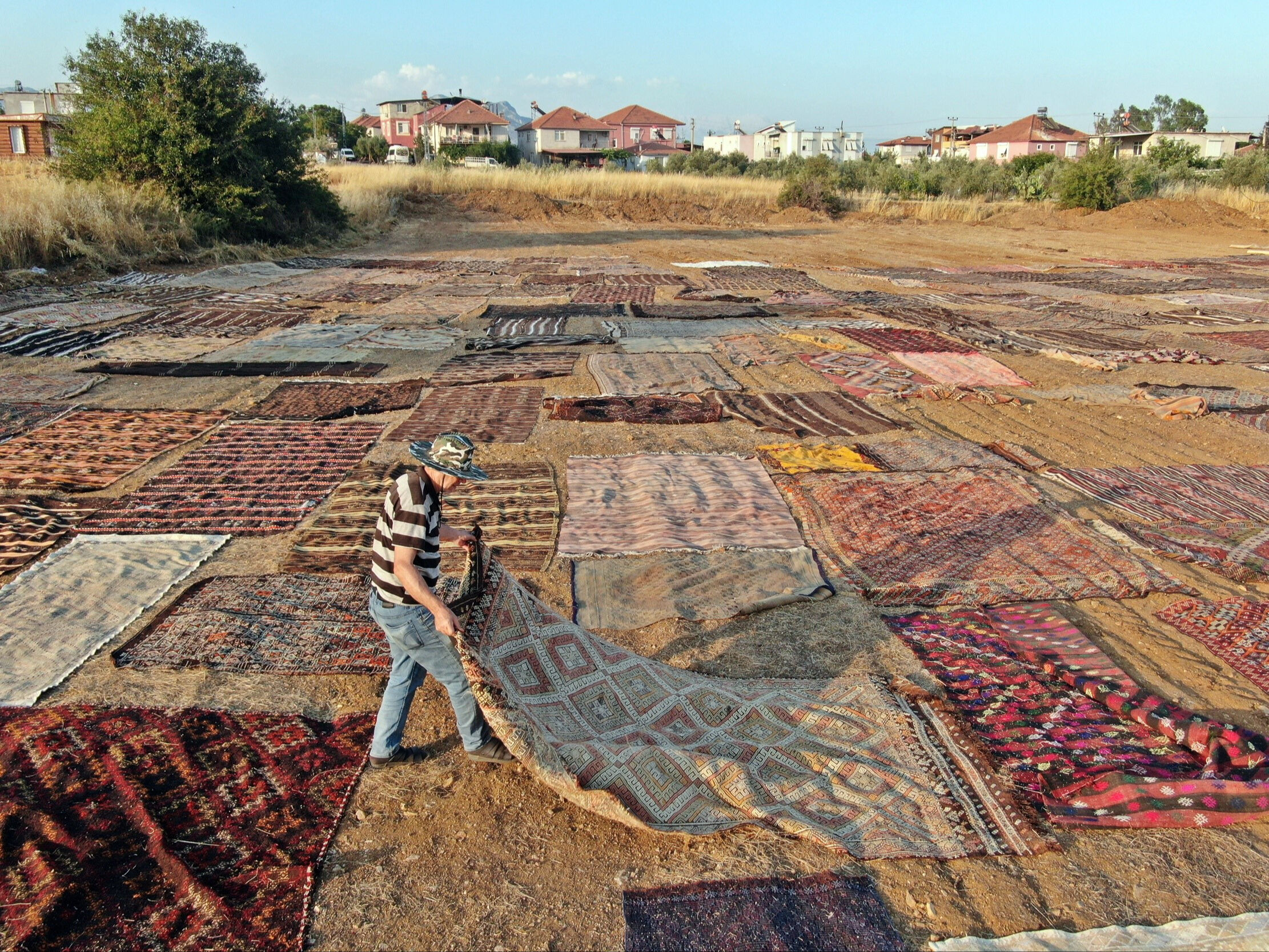 Milyonluk halıları tarlalara serip başında nöbet tutuyorlar! İşte nedeni... - 2. Resim