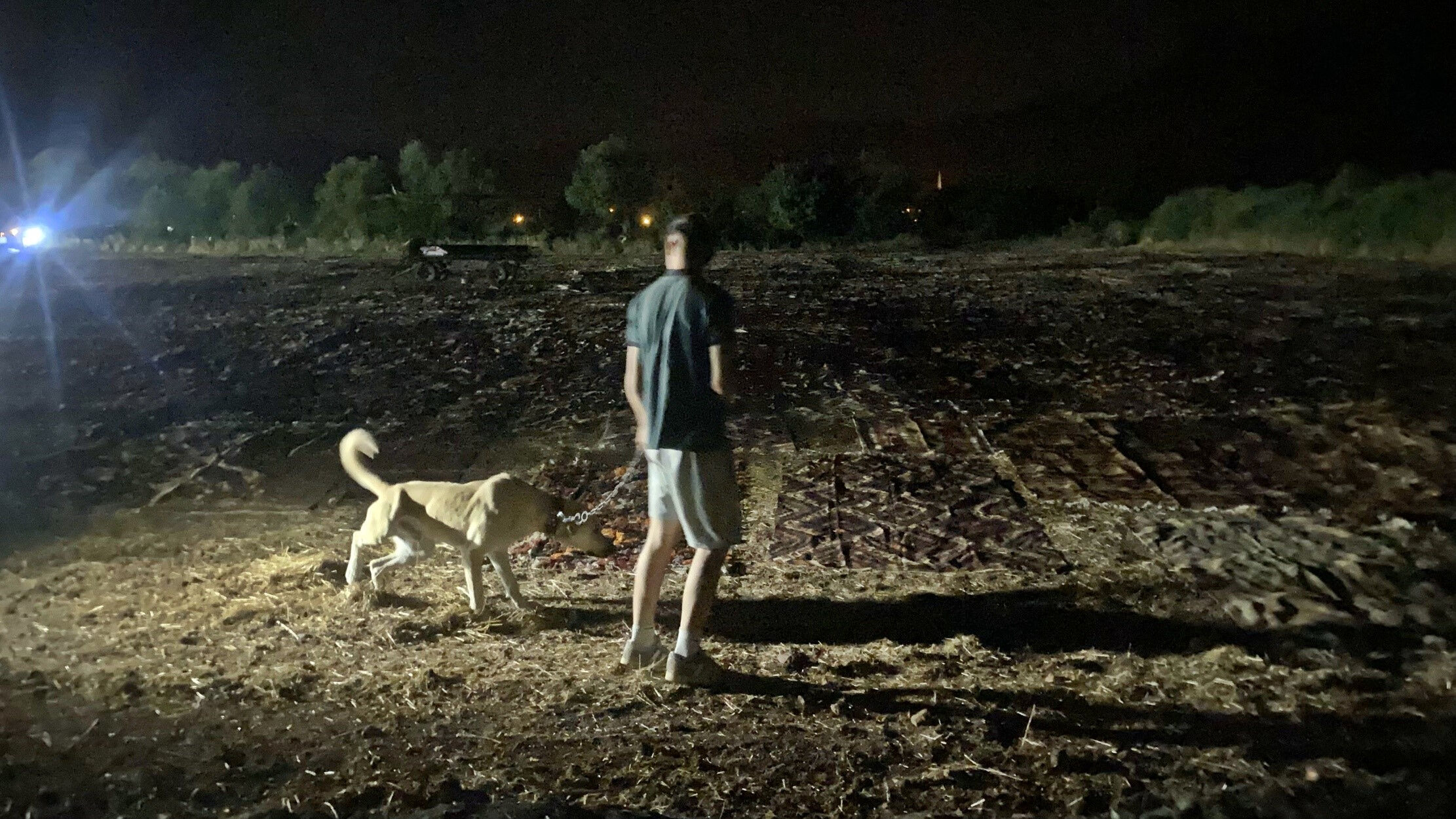 Milyonluk halıları tarlalara serip başında nöbet tutuyorlar! İşte nedeni... - 4. Resim