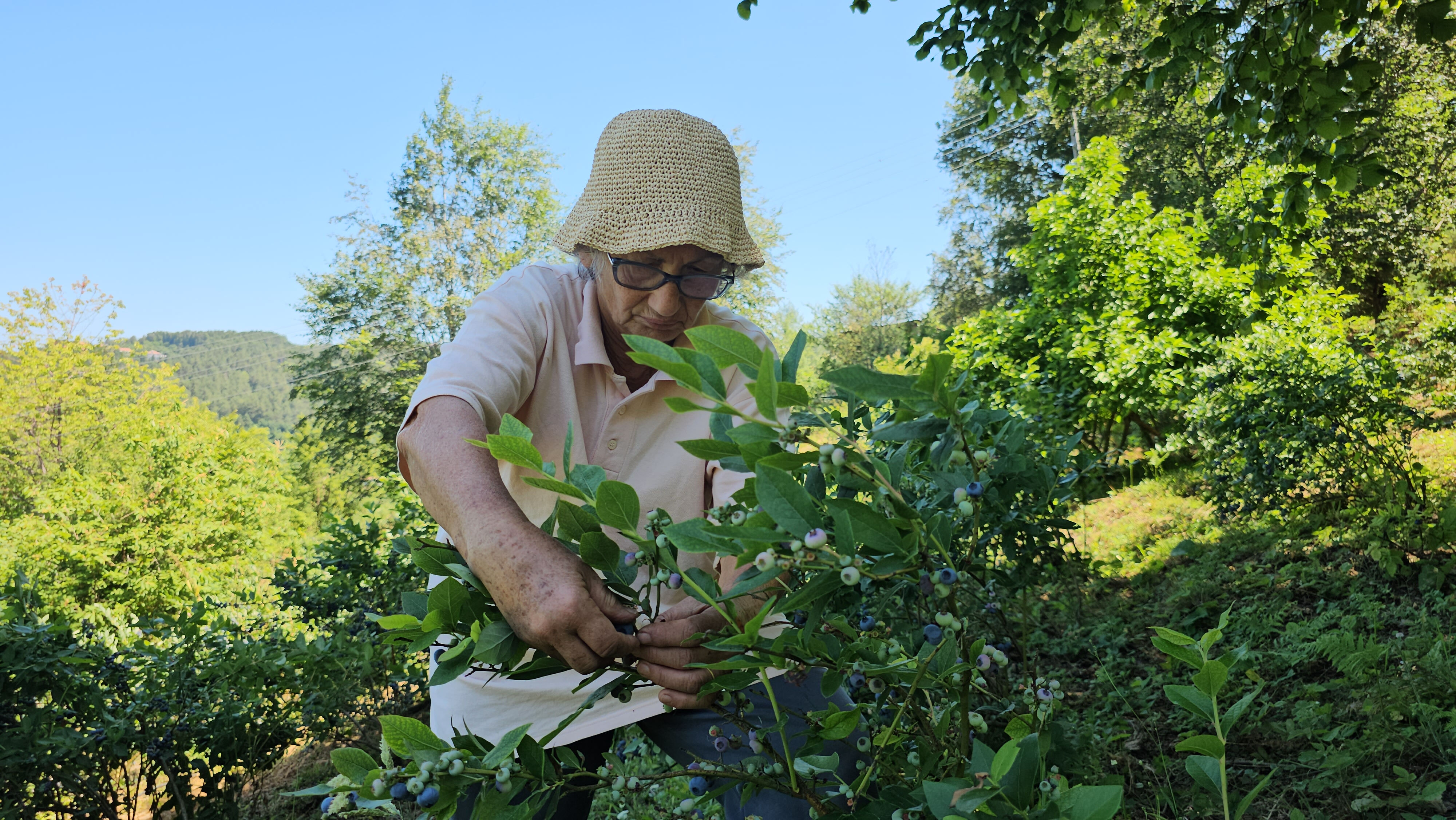 Polonya'dan ithal etti! Tüm emekli ikramiyesini bu işe yatırdı... "Bu iş sırf para için yapılmaz" - 1. Resim