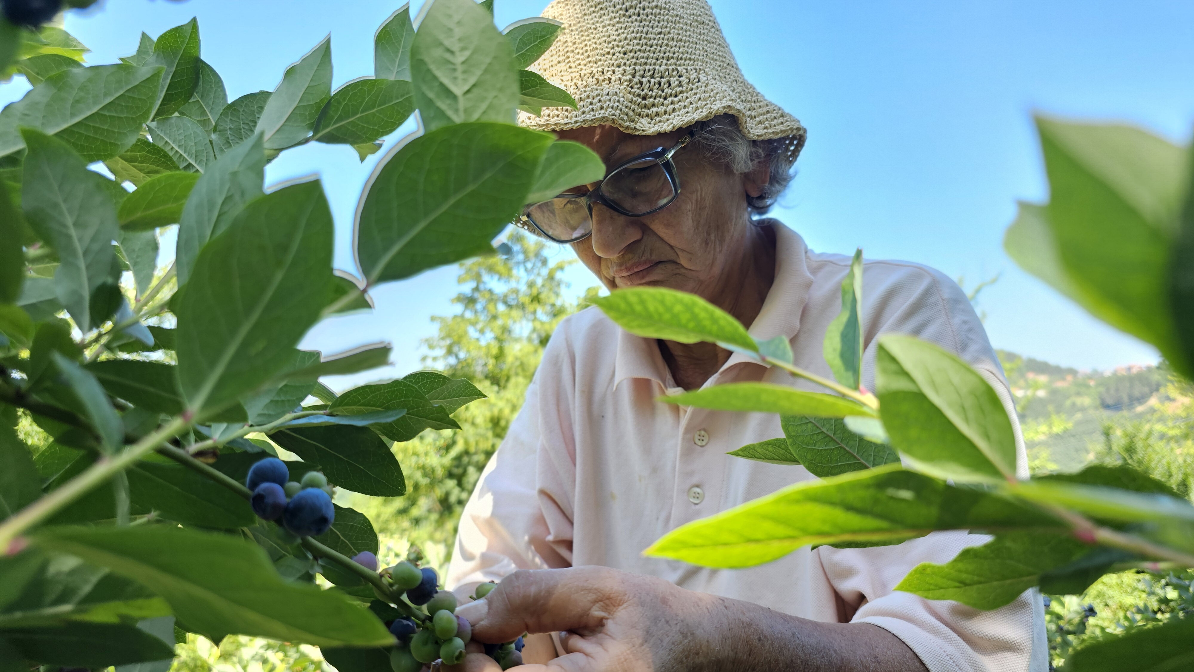 Polonya'dan ithal etti! Tüm emekli ikramiyesini bu işe yatırdı... "Bu iş sırf para için yapılmaz" - 3. Resim