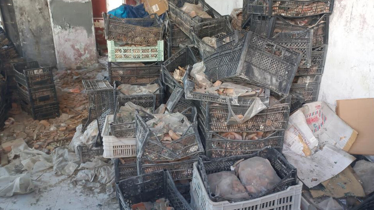 Tarihi eserleri manav sepetinde çürümeye terk ettiler - 3. Resim