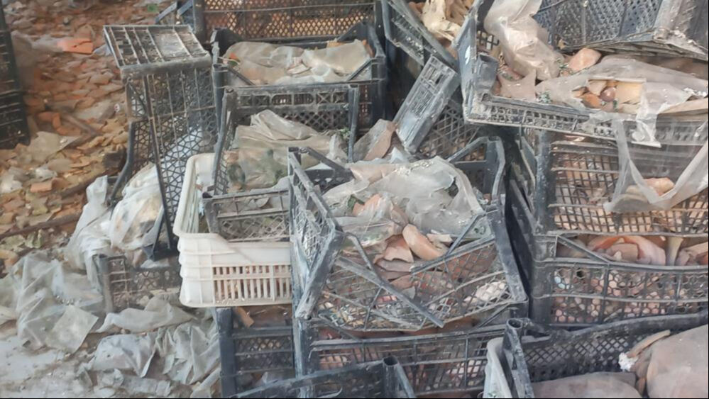 Tarihi eserleri manav sepetinde çürümeye terk ettiler - 2. Resim