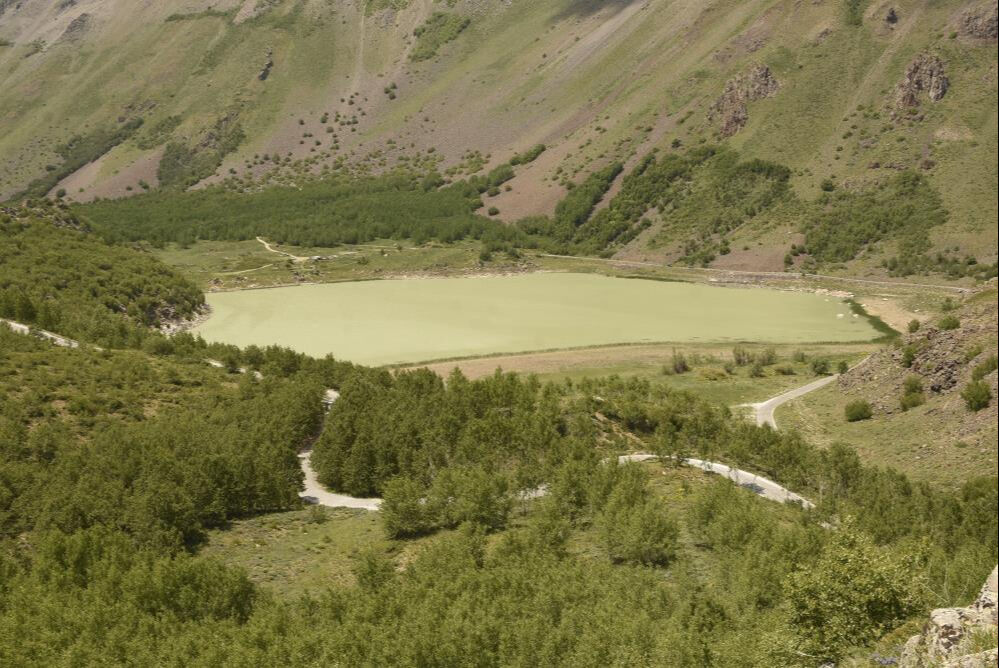 Türkiye'nin en büyüğü! Gören hayran kalıyor - 3. Resim