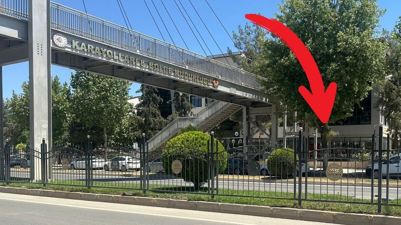 Üst geçidi kullanmak istemedi: Faciayı yaşadı! Yetkililer harekete geçti Üst geçidi kullanmak istemedi: Faciayı yaşadı! Yetkililer harekete geçti