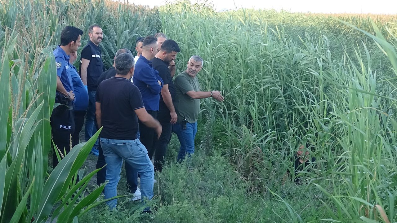 Adana'da dere kenarında erkek cesedi bulundu Adana'da dere kenarında erkek cesedi bulundu