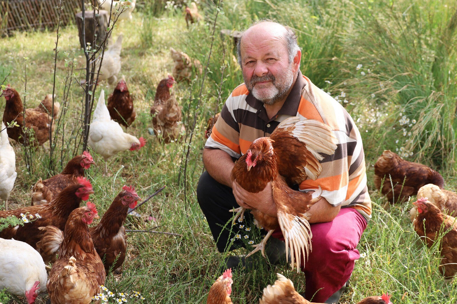 Ailelerin uğrak noktası oldu... Herkese tavsiye ediyor - 2. Resim