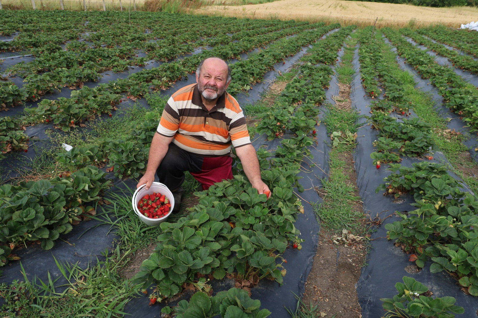 Ailelerin uğrak noktası oldu... Herkese tavsiye ediyor - 1. Resim
