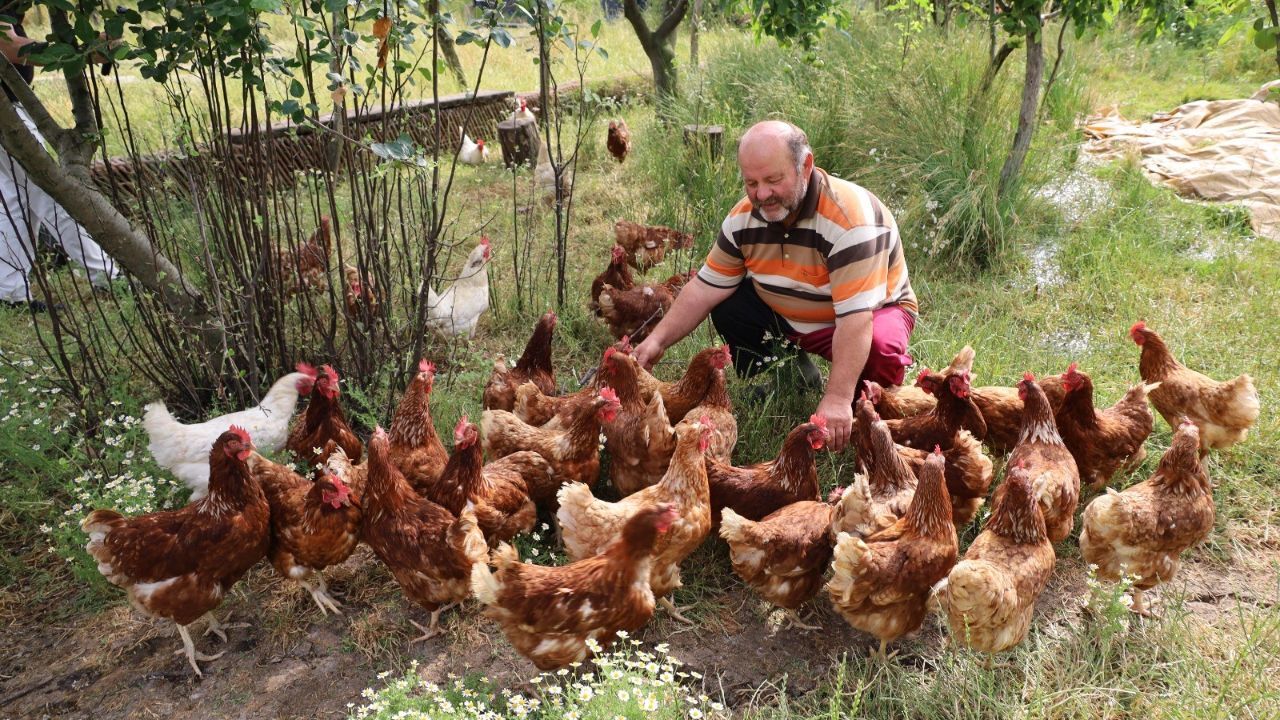 Ailelerin uğrak noktası oldu... Herkese tavsiye ediyor Ailelerin uğrak noktası oldu... Herkese tavsiye ediyor