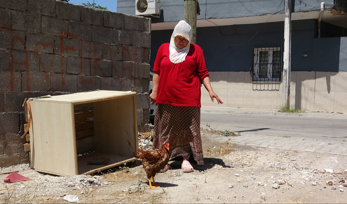 Anne şefkatiyle besliyordu, veteriner 'kes' dedi! Çocuk gibi ağlayan hasta tavuk için şifa arıyor Anne şefkatiyle besliyordu, veteriner 'kes' dedi! Çocuk gibi ağlayan hasta tavuk için şifa arıyor - 1. Resim