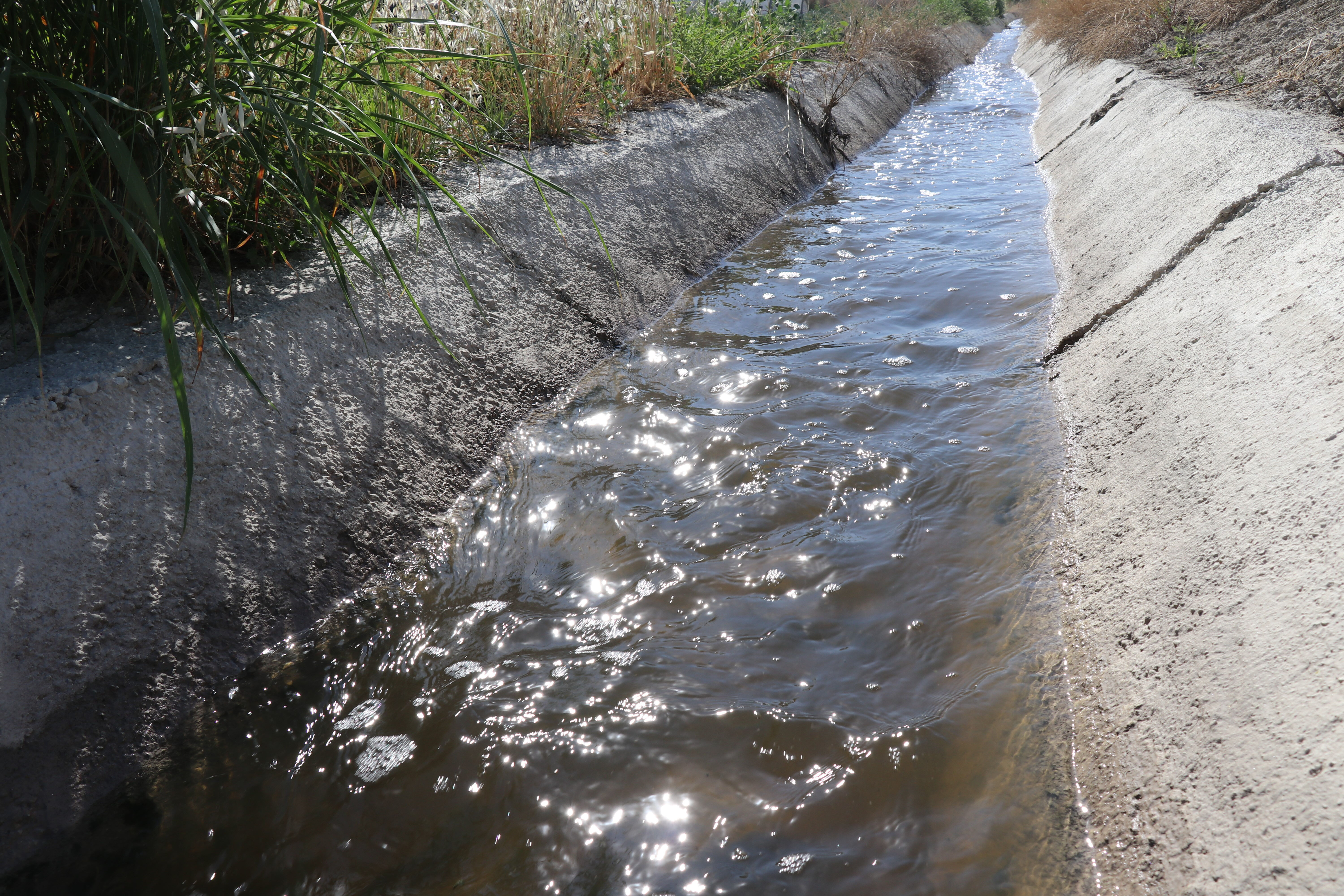 Denizlili çiftçiler 1 yıldır kabusu yaşıyor: Bunu kim kullanırsa başı yanıyor! "Tarlamız boş, korkuyoruz" - 1. Resim