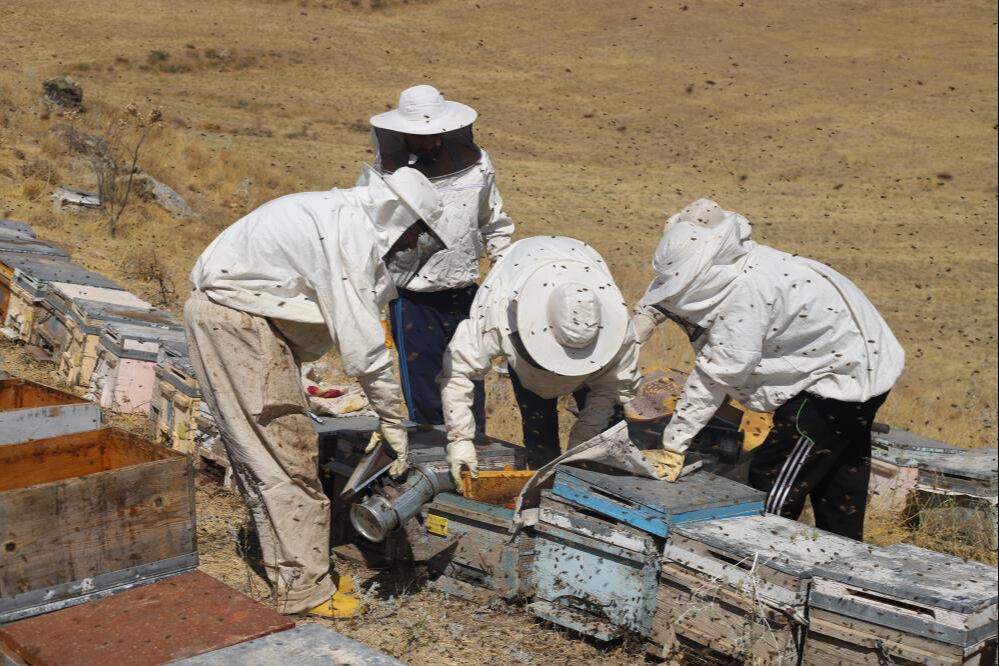 Eczane, doktor, hemşire, fabrika gibi... Teknoloji kullanmıyorlar: 2 ay sonra başlanacak - 1. Resim