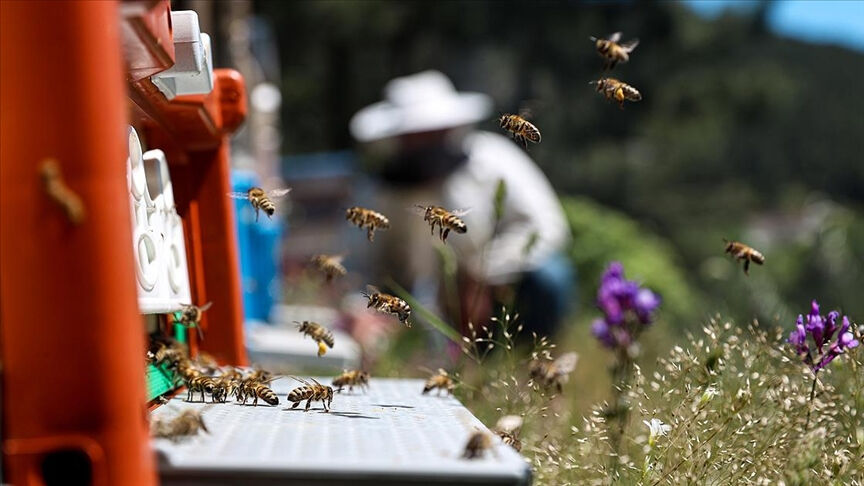 Eczane, doktor, hemşire, fabrika gibi... Teknoloji kullanmıyorlar: 2 ay sonra başlanacak - 3. Resim