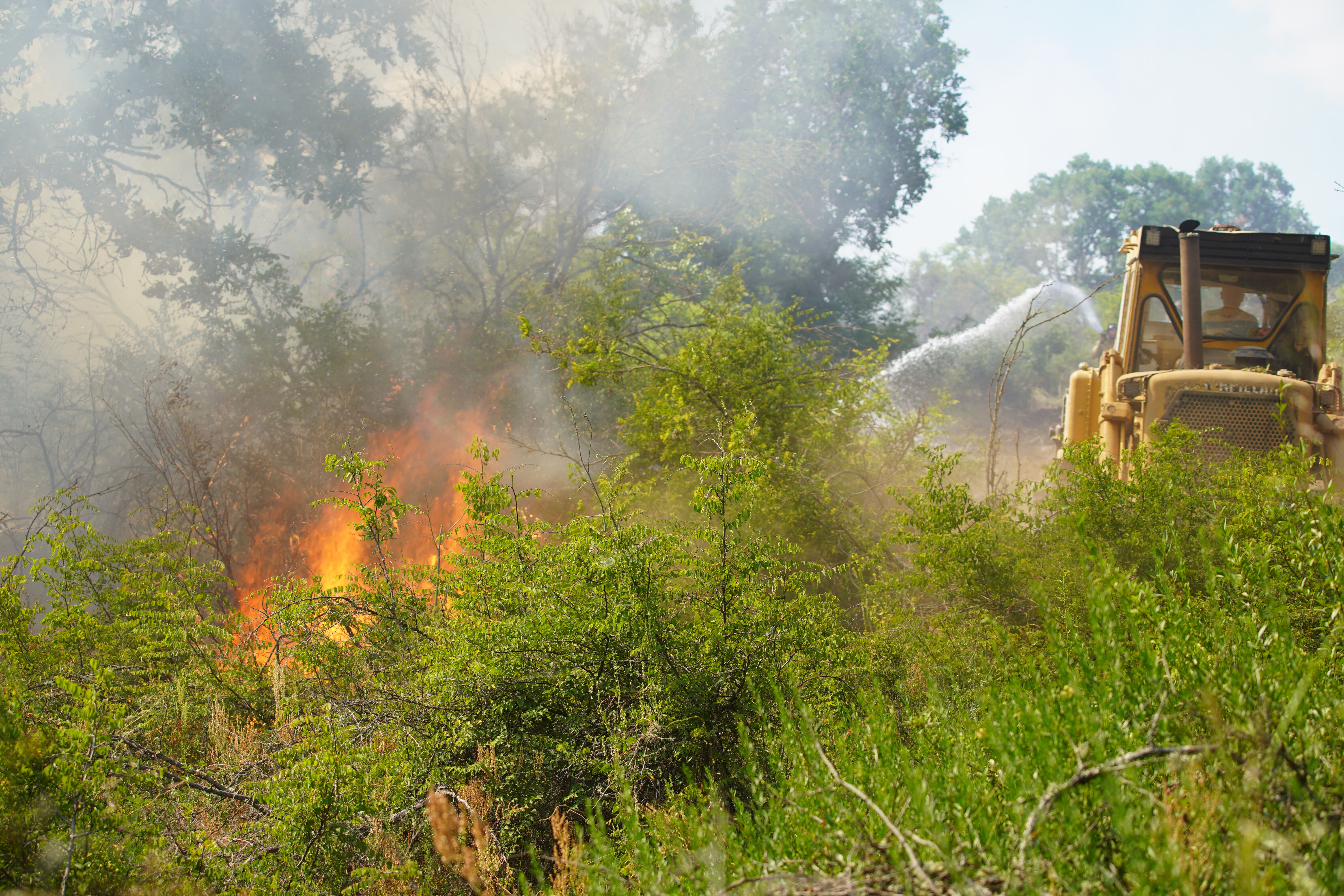 Edirne'de orman yangını! Ekipler zamana karşı yarış başlattı - 2. Resim