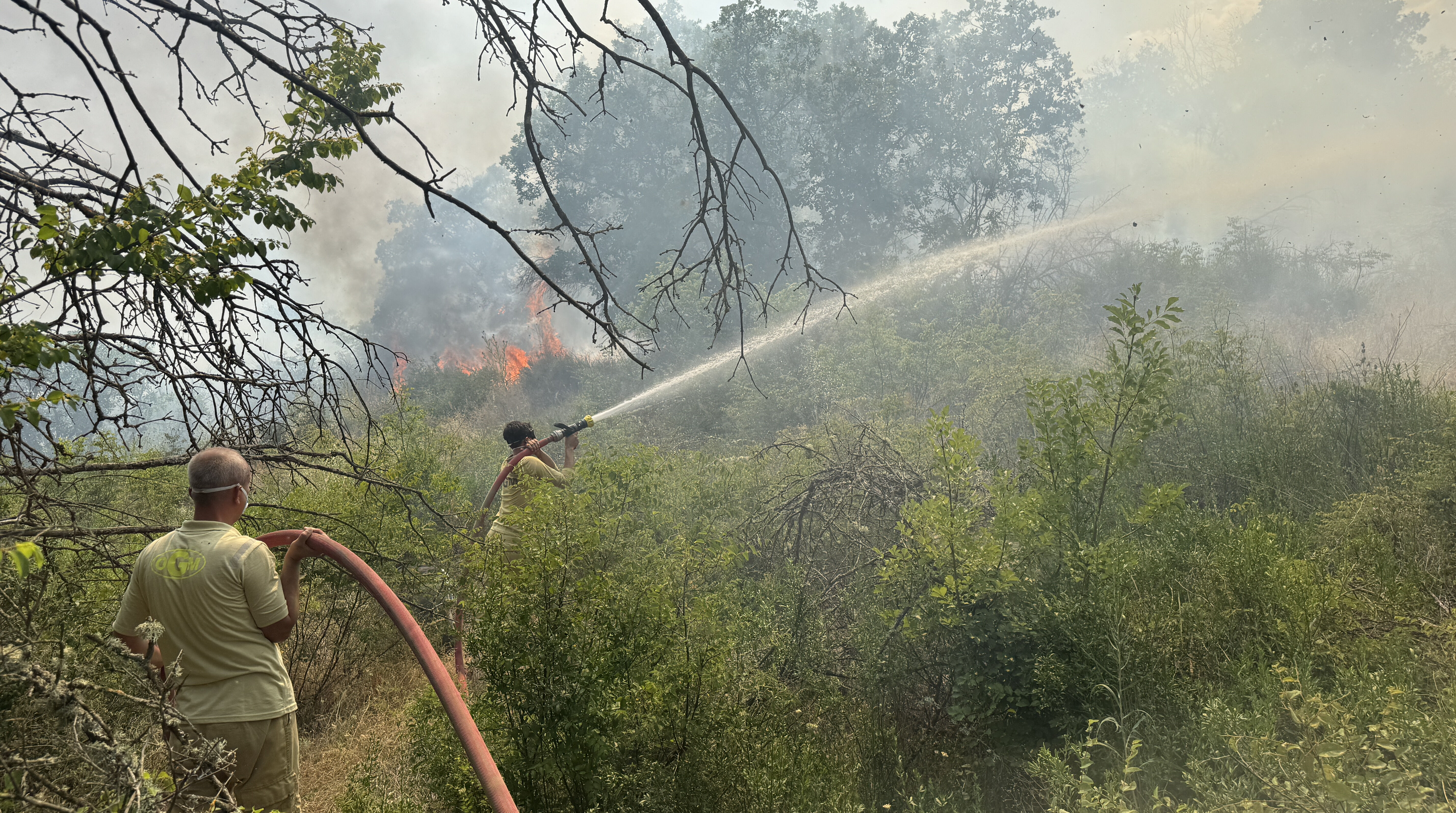 Edirne'de orman yangını! Ekipler zamana karşı yarış başlattı Edirne'de orman yangını! Ekipler zamana karşı yarış başlattı - 1. Resim