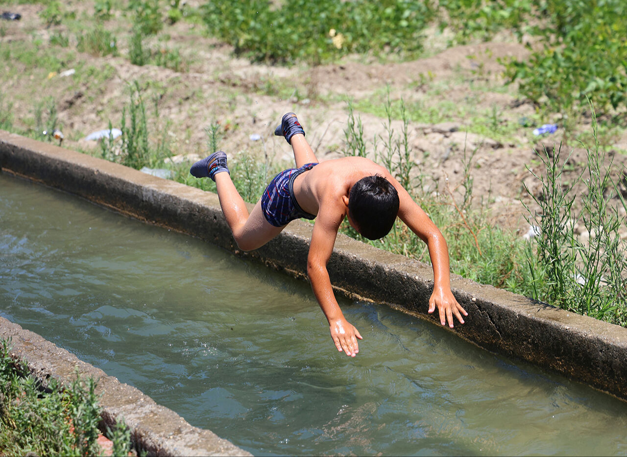 Sıcaklar buna mecbur etti: Kanaletlerde yüzüyor, kaldırımda güneşleniyorlar - 1. Resim