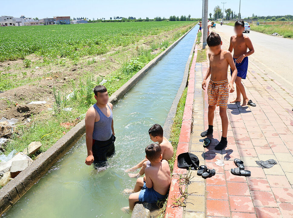 Sıcaklar buna mecbur etti: Kanaletlerde yüzüyor, kaldırımda güneşleniyorlar - 2. Resim