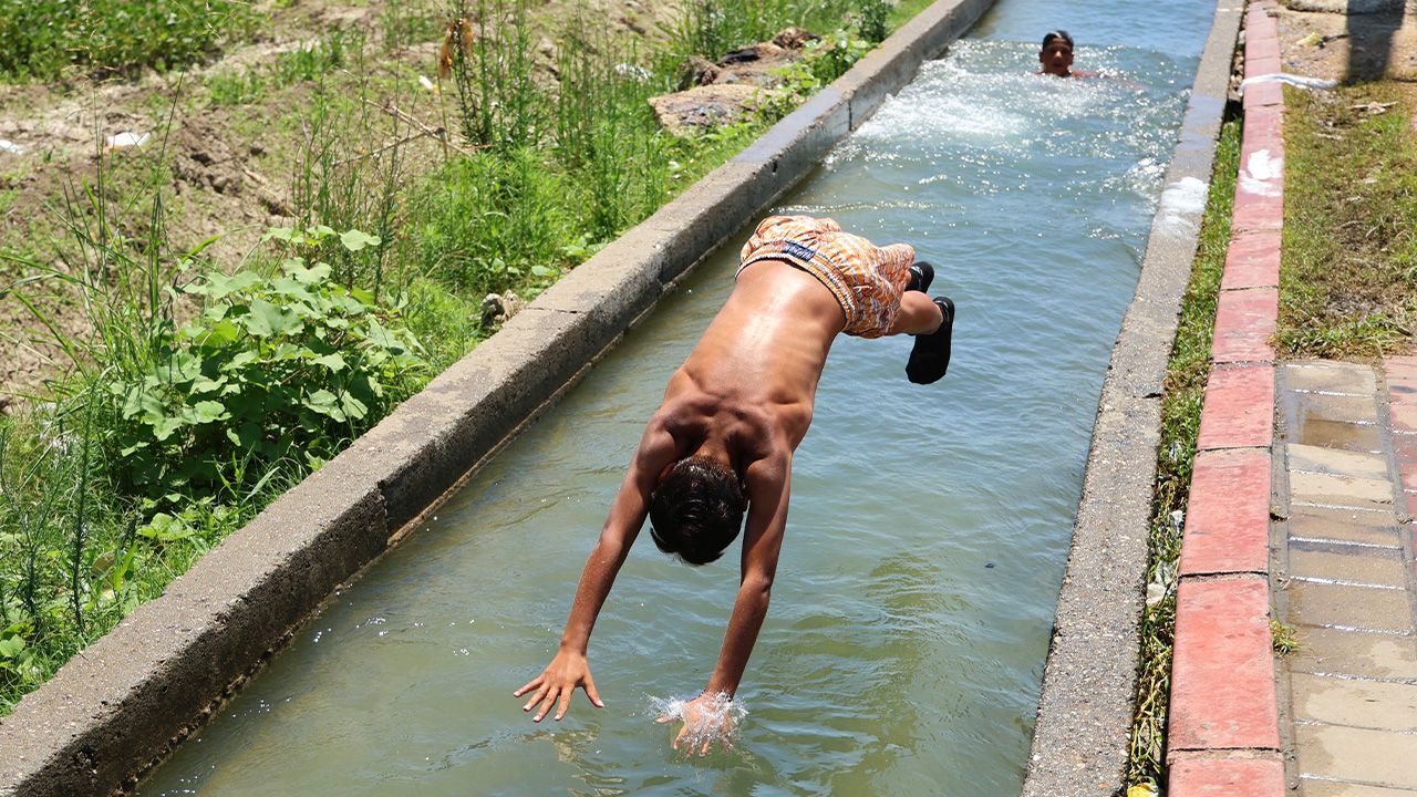 Yaşam