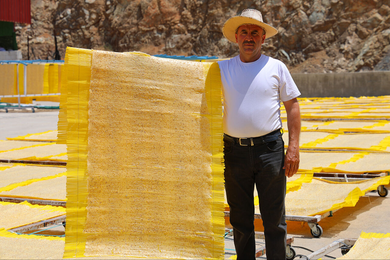 Tamamı organik, 25 bin ton üretiliyor... Avrupa sofralarına giren yağsız cipsin kilogramı 250 lira! Tamamı organik, 25 bin ton üretiliyor... Avrupa sofralarına giren yağsız cipsin kilogramı 250 lira! - 5. Resim