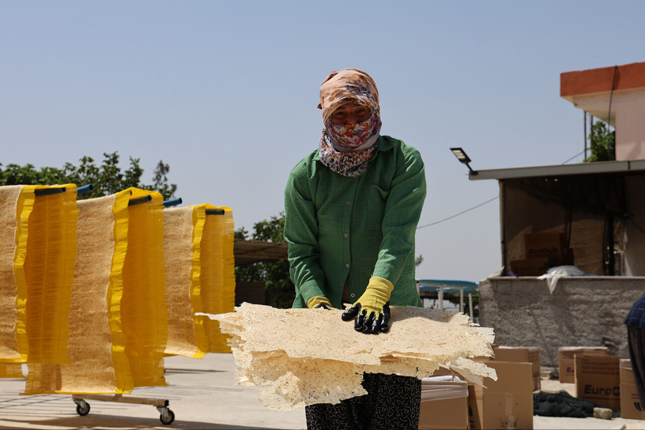 Tamamı organik, 25 bin ton üretiliyor... Avrupa sofralarına giren yağsız cipsin kilogramı 250 lira! Tamamı organik, 25 bin ton üretiliyor... Avrupa sofralarına giren yağsız cipsin kilogramı 250 lira! - 4. Resim