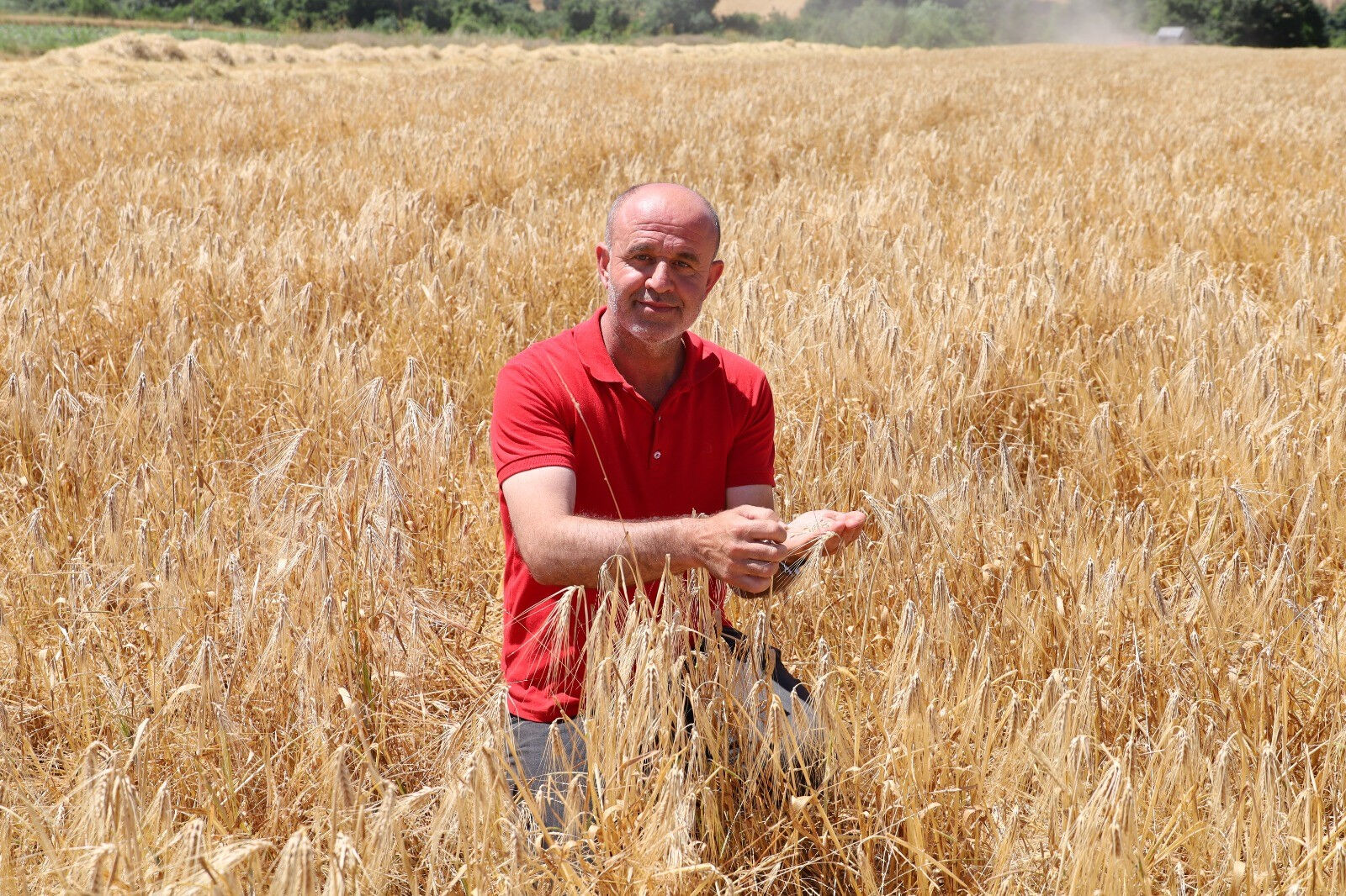 Türkiye'nin en verimli arazilerinde hasat başladı! Üretici mazot ve gübre fiyatlarından şikayetçi Türkiye'nin en verimli arazilerinde hasat başladı! Üretici mazot ve gübre fiyatlarından şikayetçi - 3. Resim