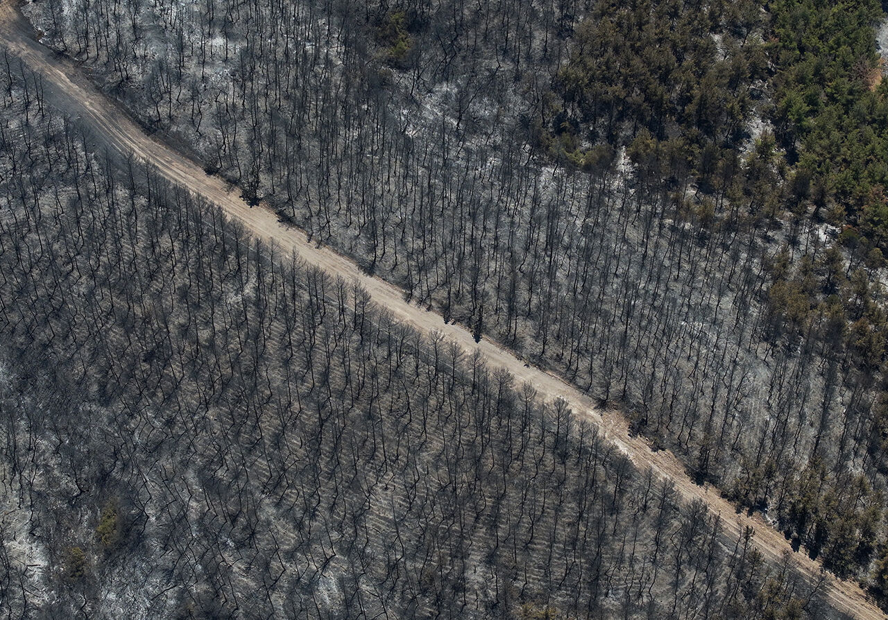 Zararın boyutu ortaya çıktı! İzmir'de küle dönen orman dronla görüntülendi - 3. Resim