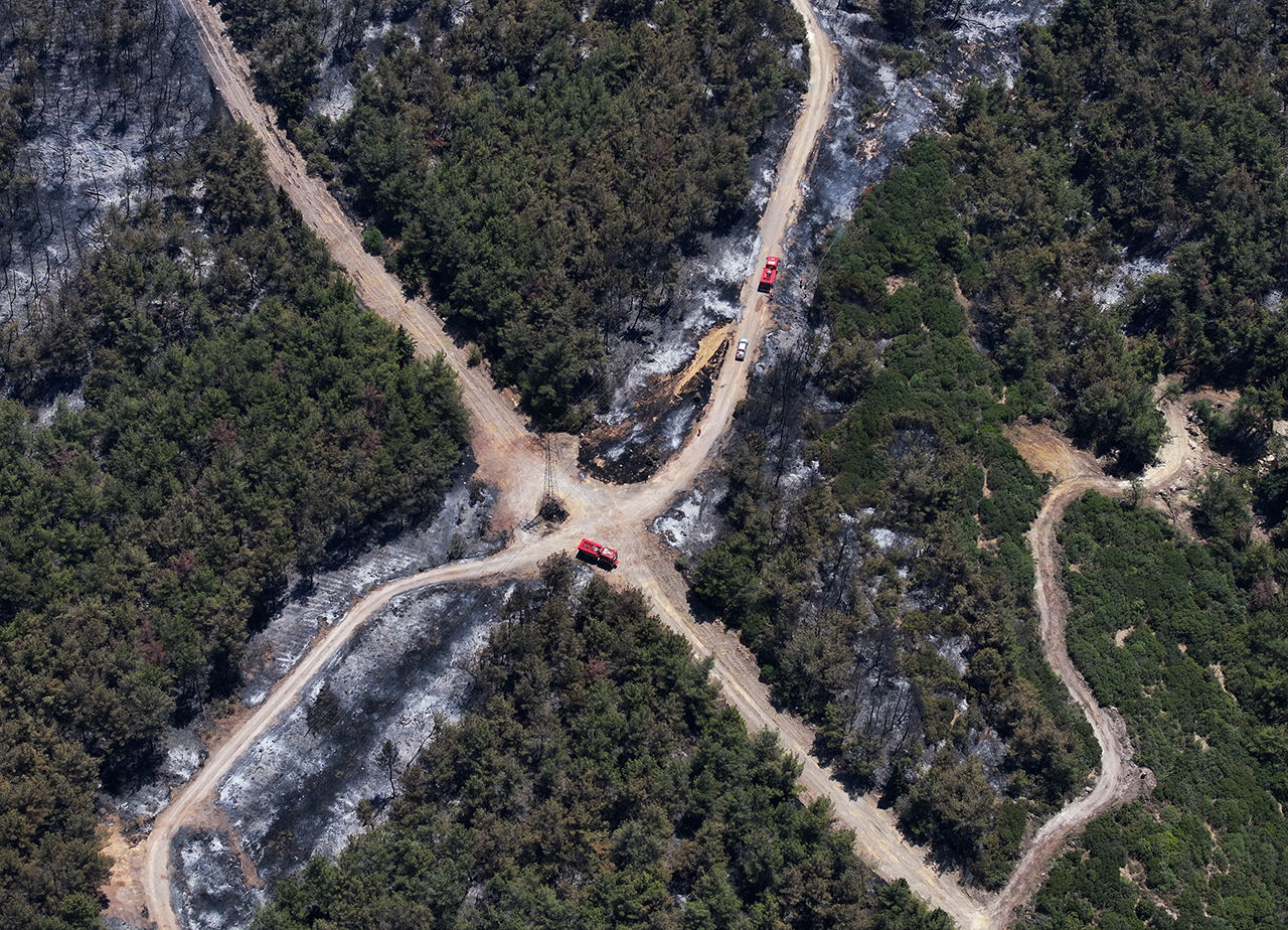 Zararın boyutu ortaya çıktı! İzmir'de küle dönen orman dronla görüntülendi - 4. Resim
