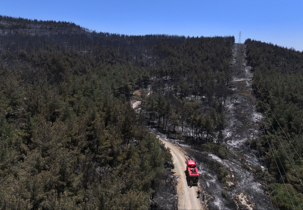 Zararın boyutu ortaya çıktı! İzmir'de küle dönen orman dronla görüntülendi - 1. Resim