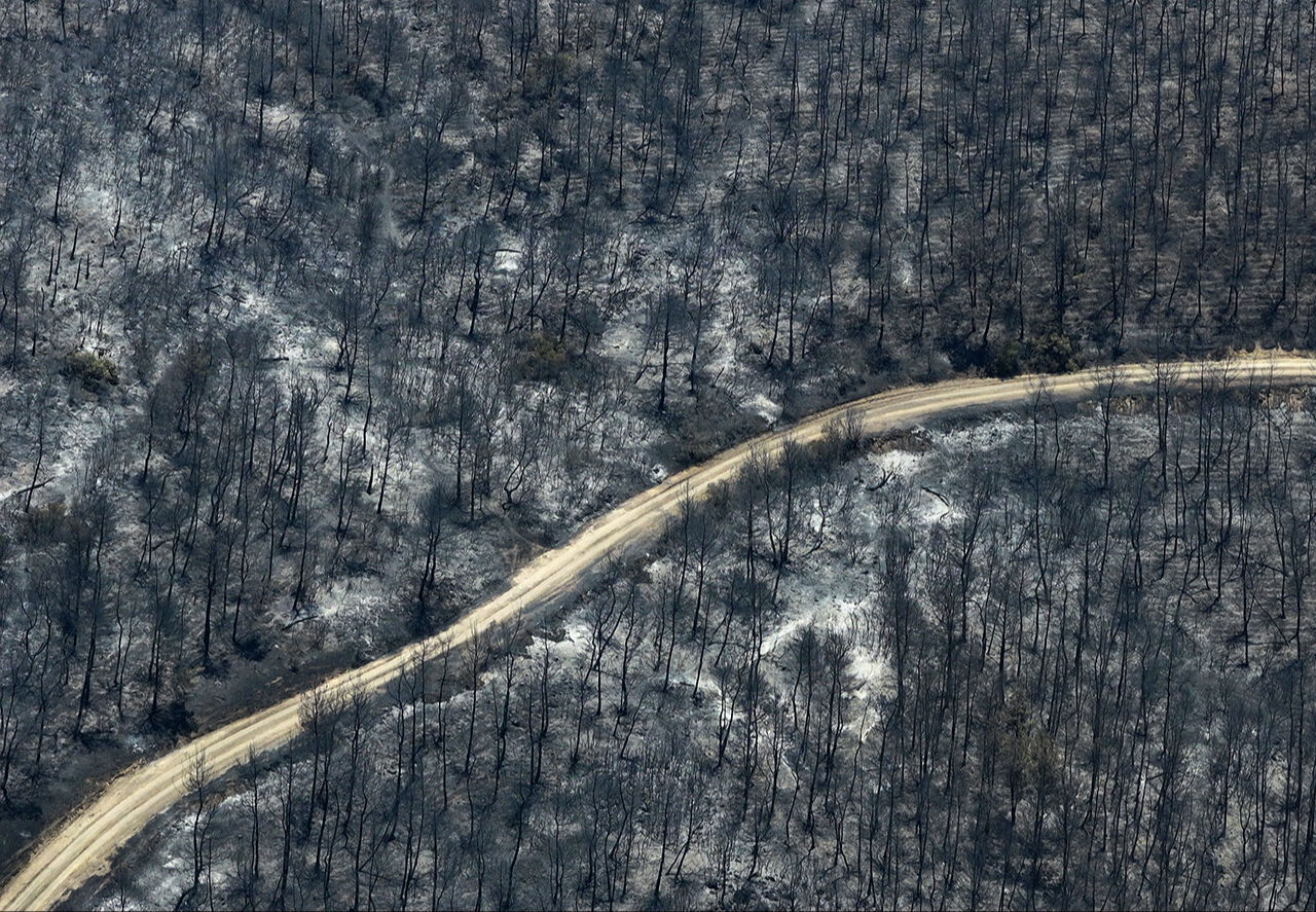 Zararın boyutu ortaya çıktı! İzmir'de küle dönen orman dronla görüntülendi - 2. Resim