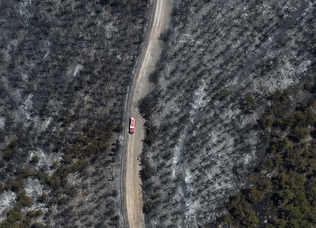 Zararın boyutu ortaya çıktı! İzmir'de küle dönen orman dronla görüntülendi - 8. Resim