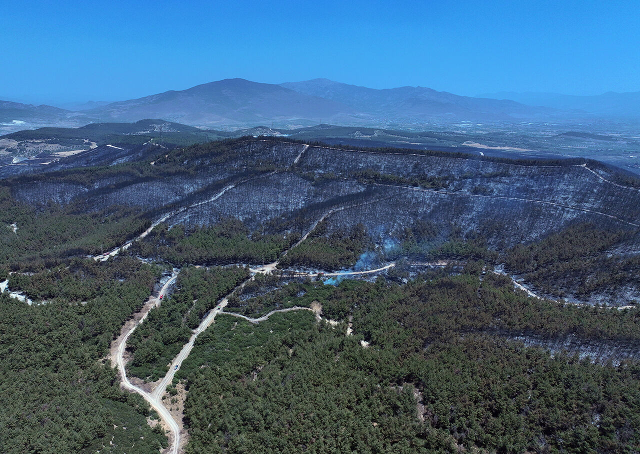 Zararın boyutu ortaya çıktı! İzmir'de küle dönen orman dronla görüntülendi - 7. Resim