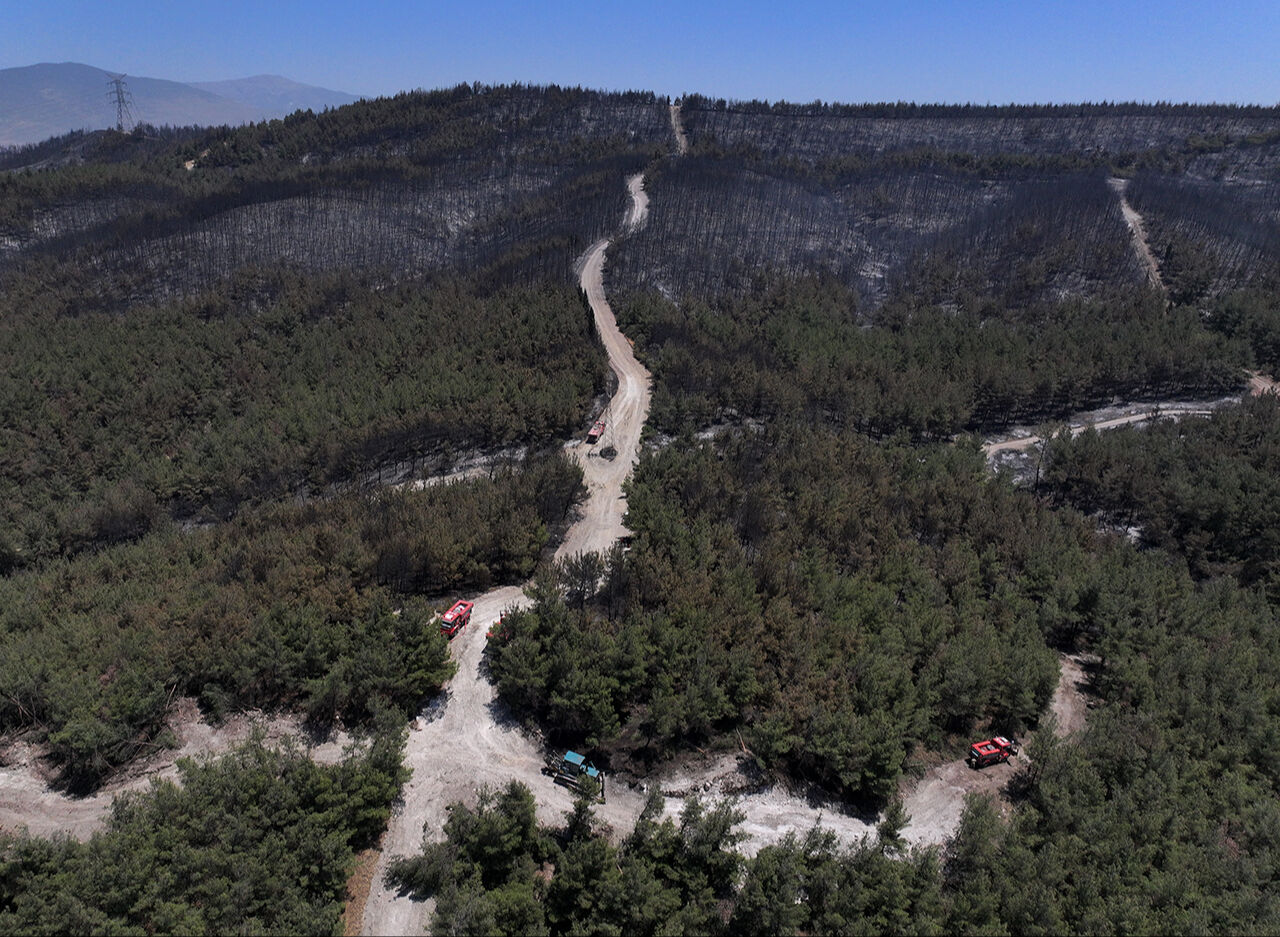 Zararın boyutu ortaya çıktı! İzmir'de küle dönen orman dronla görüntülendi - 6. Resim
