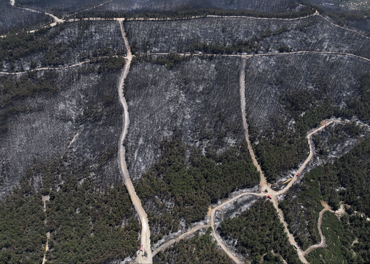 Zararın boyutu ortaya çıktı! İzmir'de küle dönen orman dronla görüntülendi - 5. Resim