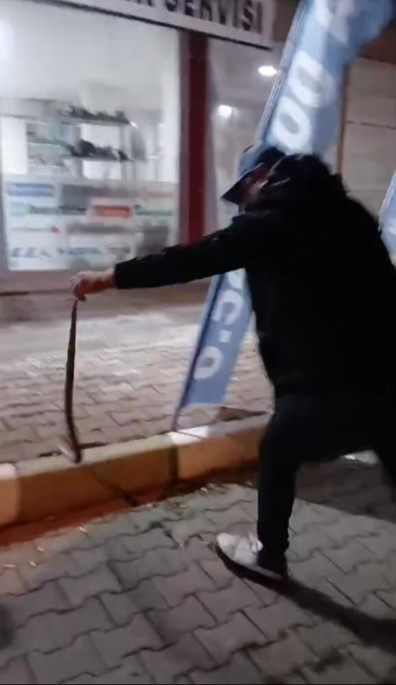 1,5 metrelik yılanı yakaladı, bir gece misafir etti: Rüyalarıma girdi - 2. Resim