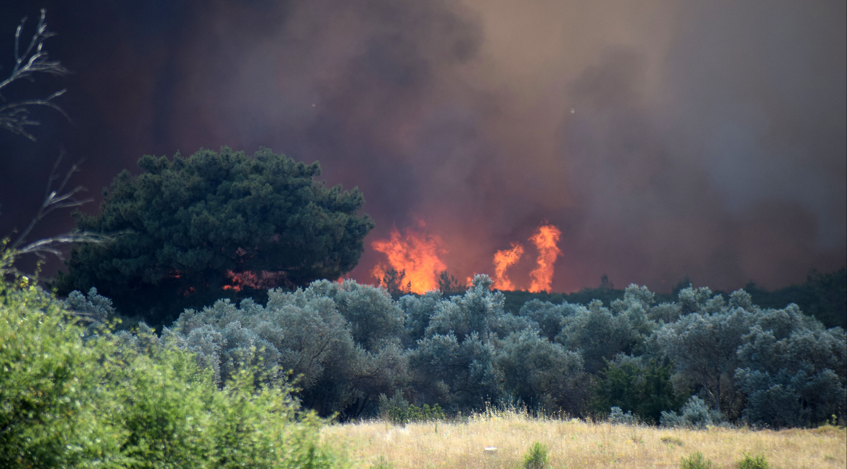 3 ilde ciğerlerimiz yanıyor! Yangın diğer şehre sıçradı: Evler tahliye edildi - 1. Resim