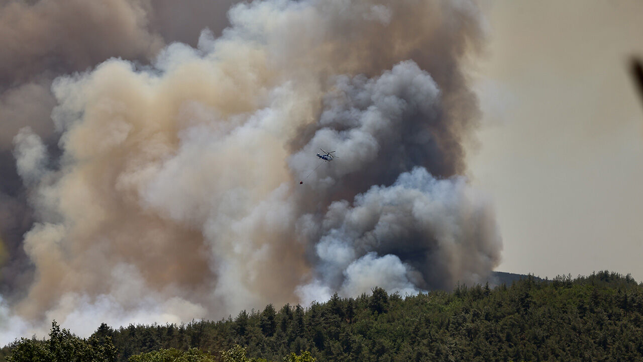 Bir yangın da Sakarya'da! Taraklı ilçesinde ormanlık alan yanıyor - 1. Resim