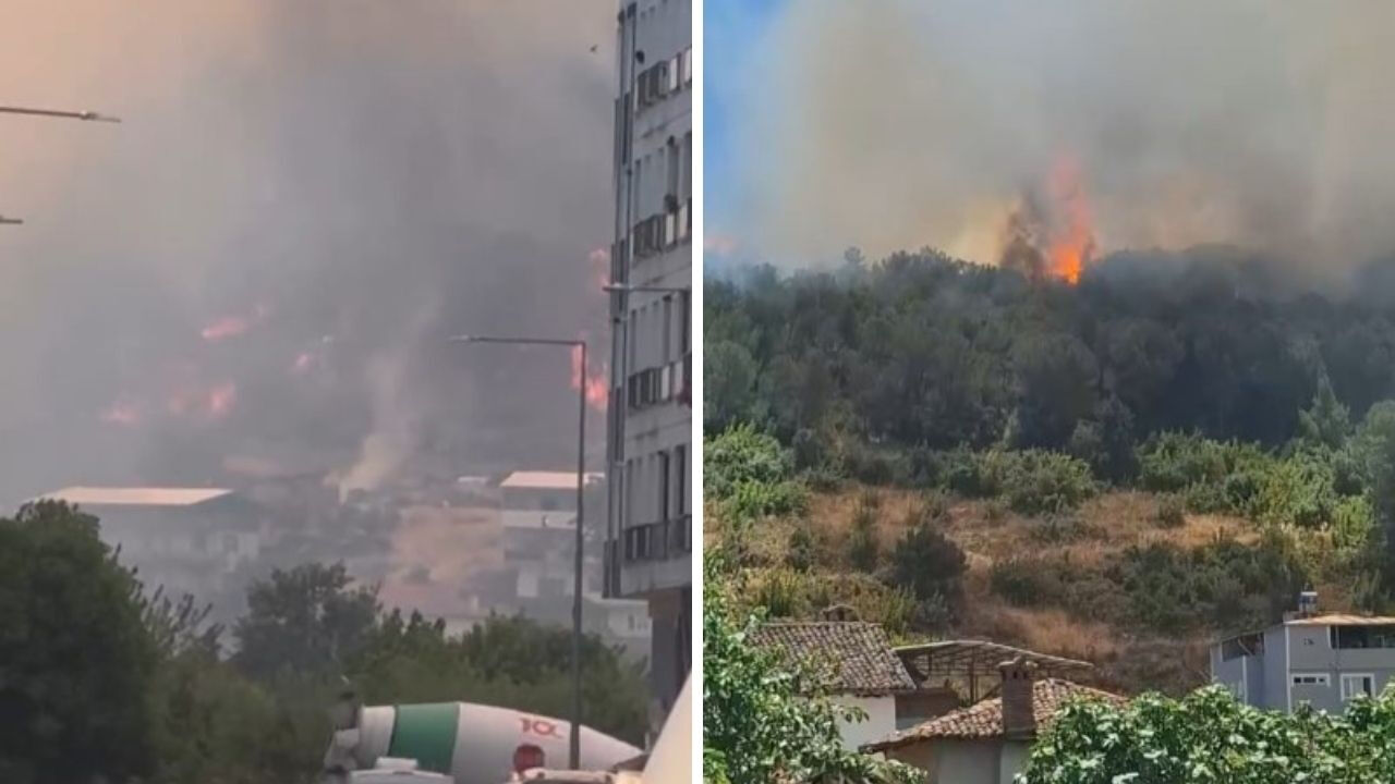 Bursa'da orman yangını! Alevler evlere sıçradı... Gözyaşları içinde tahliye edildiler - 1. Resim