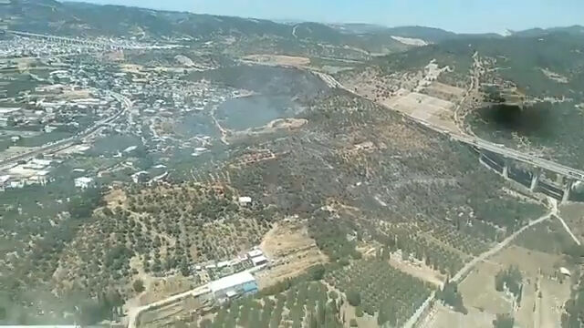 Bursa'da orman yangını! Alevler evlere sıçradı... Gözyaşları içinde tahliye edildiler - 4. Resim