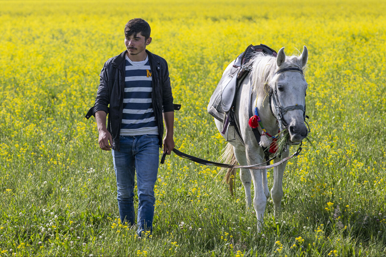Görenleri mest eden anlar! Güzellikleriyle mutlaka gezilmesi gereken ilimiz sarıya büründü - 15. Resim