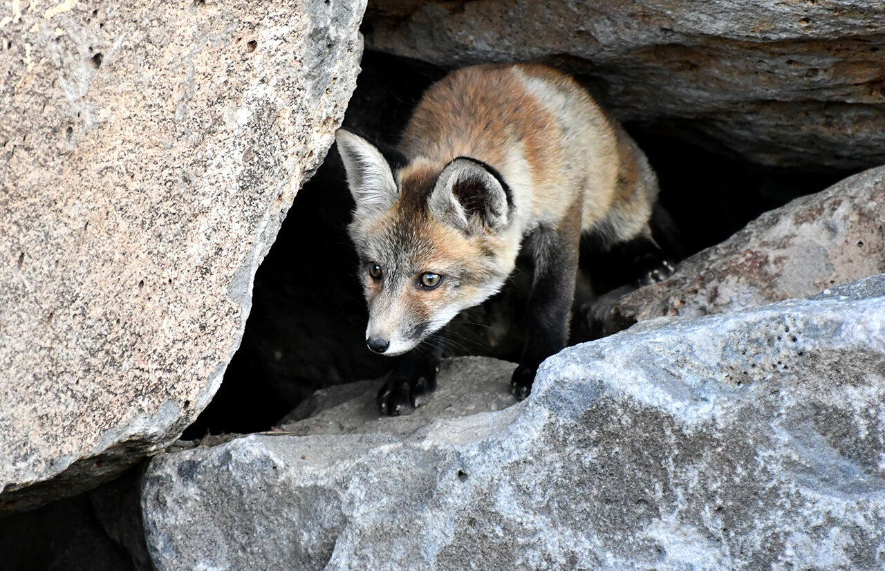 Görenleri mest eden anlar! Güzellikleriyle mutlaka gezilmesi gereken ilimiz sarıya büründü - 5. Resim