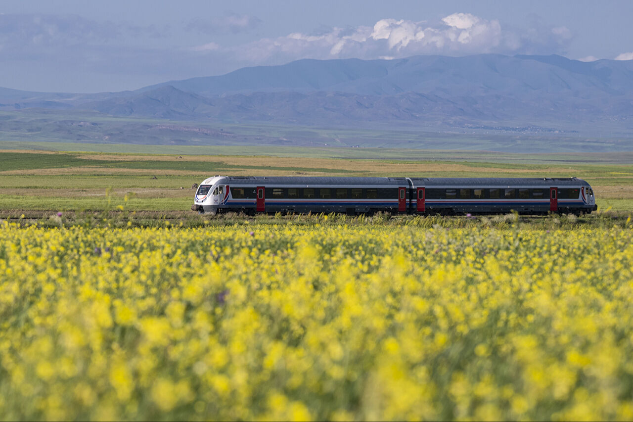 Görenleri mest eden anlar! Güzellikleriyle mutlaka gezilmesi gereken ilimiz sarıya büründü - 9. Resim