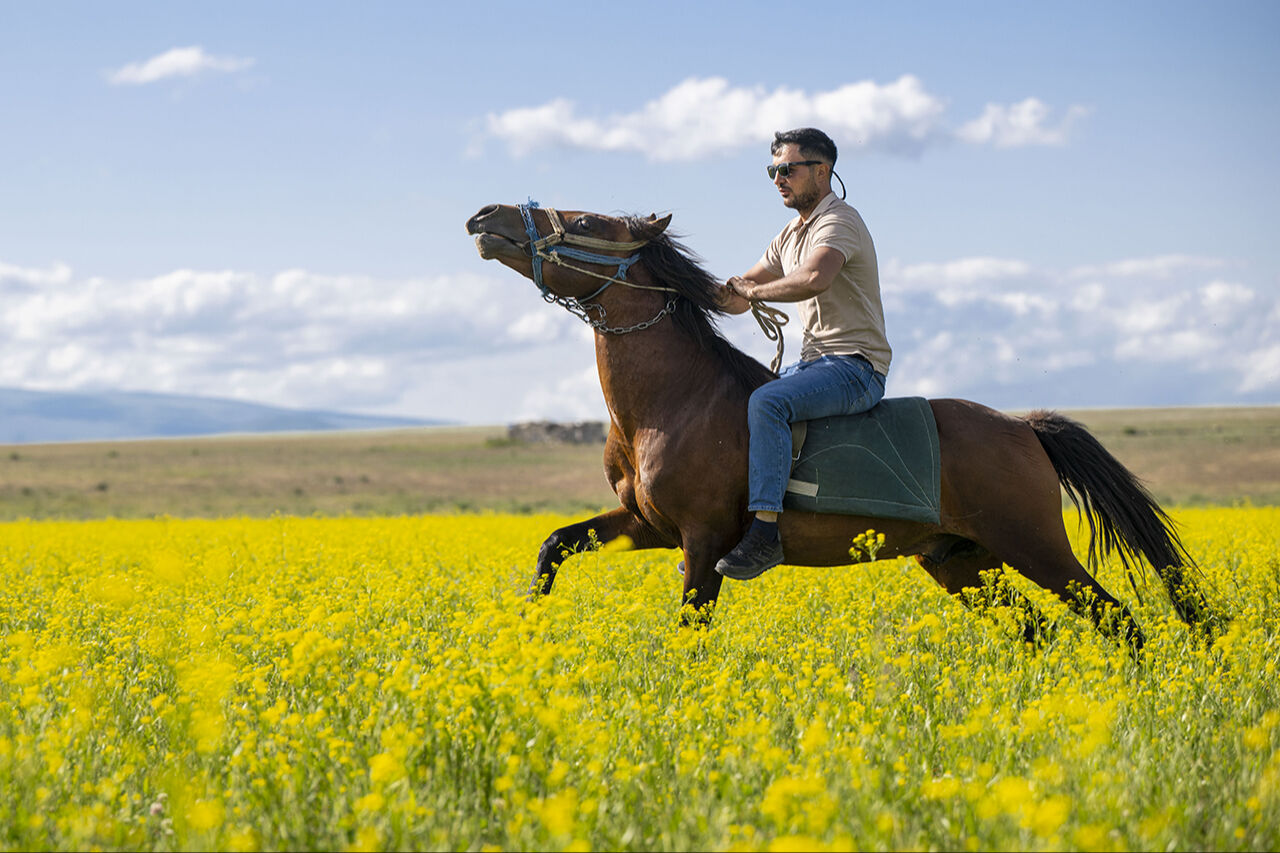 Görenleri mest eden anlar! Güzellikleriyle mutlaka gezilmesi gereken ilimiz sarıya büründü - 7. Resim