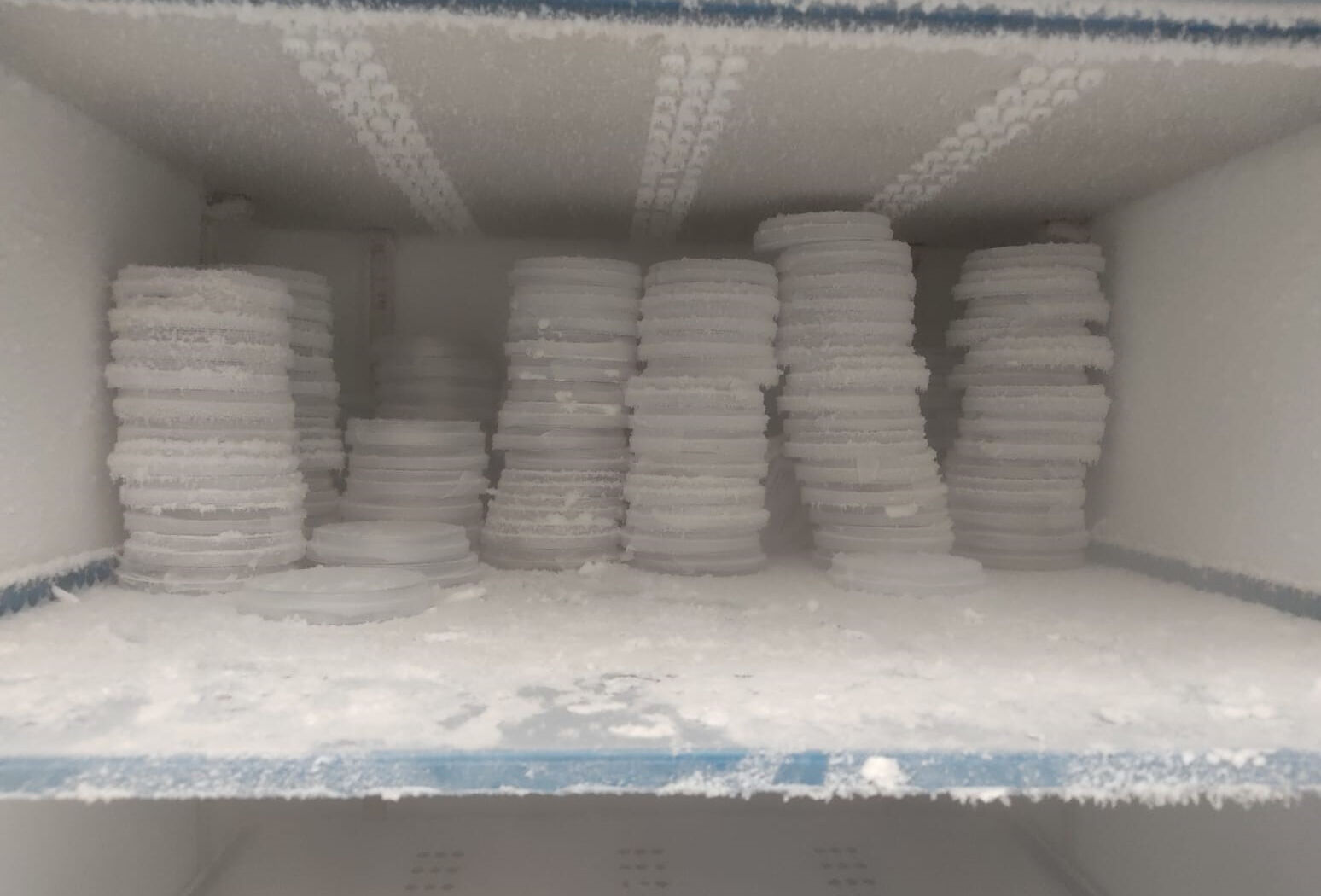 Kendisi küçük, mücadelesi büyük! Tek başına milyonlarca liralık zararı önleyecek Kendisi küçük, mücadelesi büyük! Tek başına milyonlarca liralık zararı önleyecek - 4. Resim