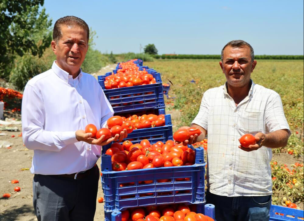 Kilosu tarlada 3 liraya düştü! Ekim alanı az fiyatı ucuz... Bir dönümü 35 bin TL Kilosu tarlada 3 liraya düştü! Ekim alanı az fiyatı ucuz - 3. Resim