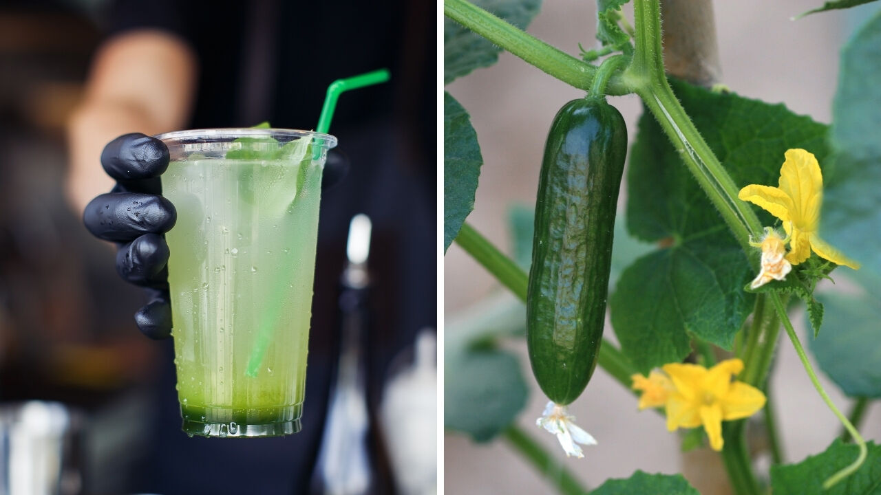 Sıcakta serum gibi geliyor! Bu meyveler yiyenleri serinletiyor... Yaz aylarında talep arttı - 4. Resim