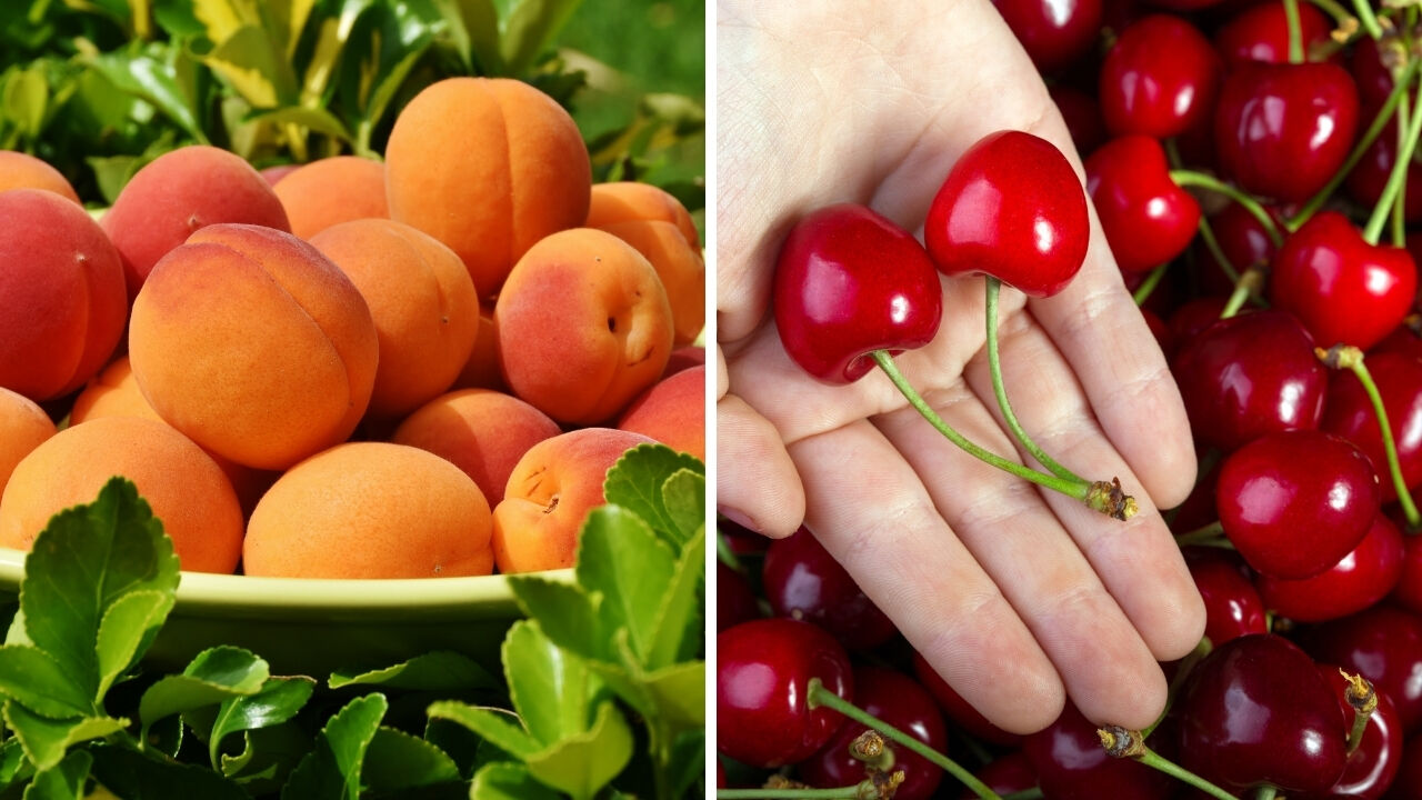 Sıcakta serum gibi geliyor! Bu meyveler yiyenleri serinletiyor... Yaz aylarında talep arttı - 3. Resim