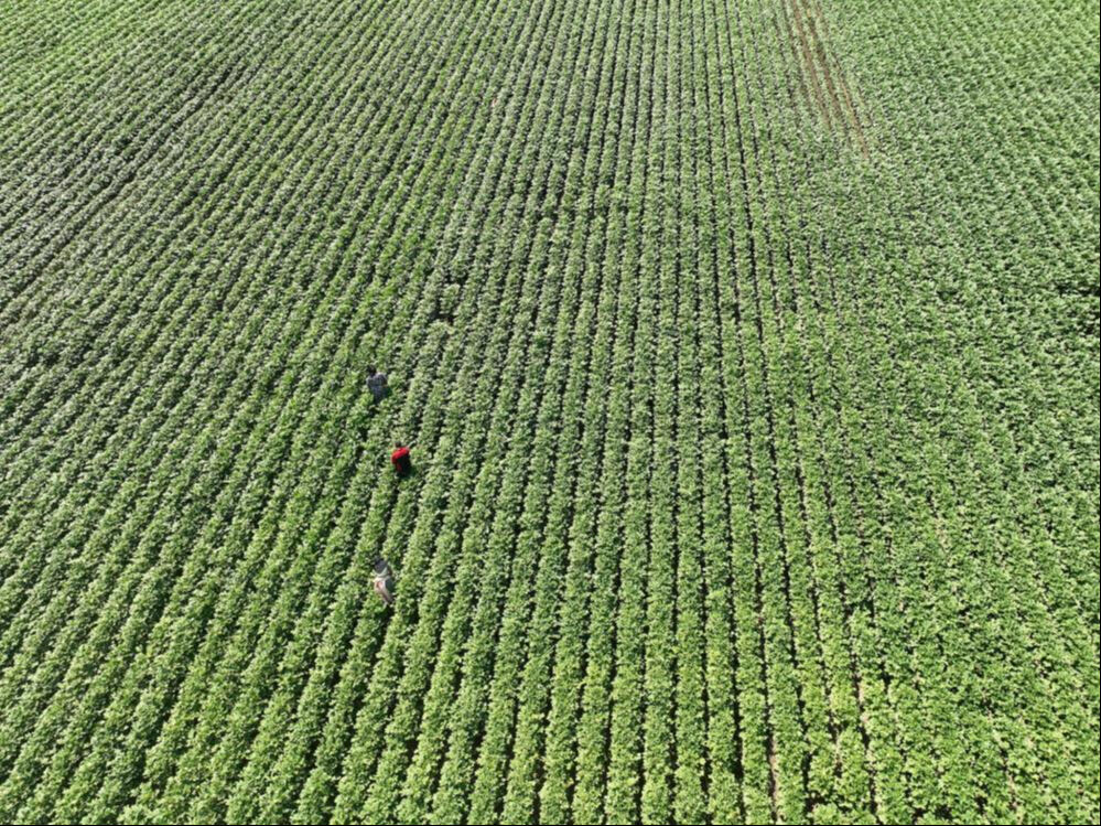 Türkiye'nin her yerinden alıcısı hazır! 