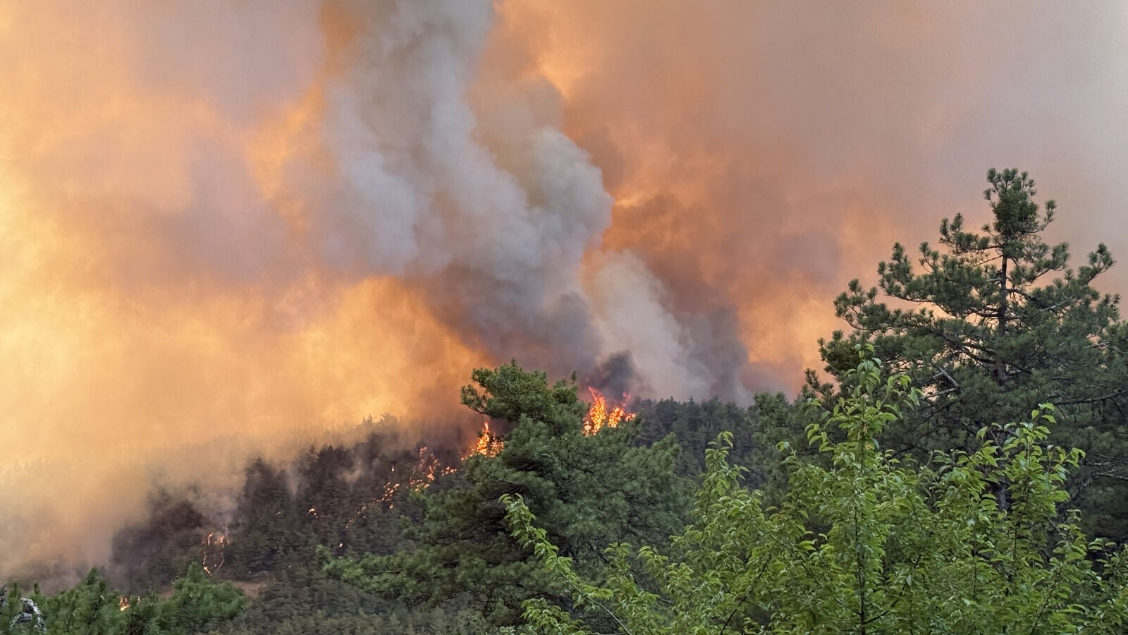 Alevlerin arasında kalan itfaiye erlerinin zor anları: Ağabey yandık, geri gel! - 1. Resim